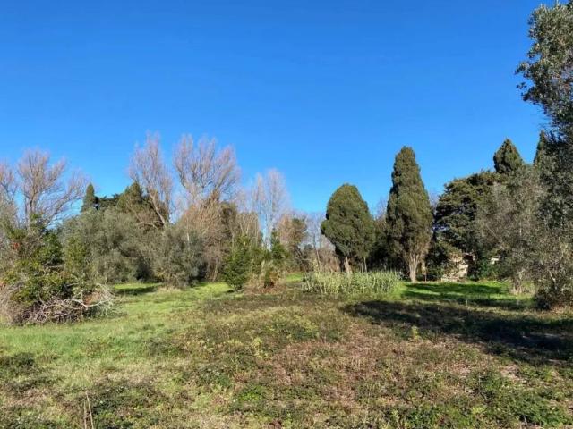 Rustico in vendita a Rosignano Marittimo, Toscana