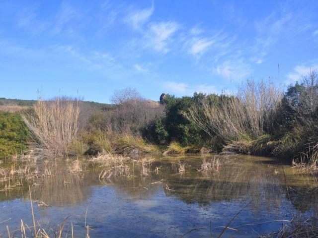 Rustico in vendita a Il Fondino, Rosignano Marittimo