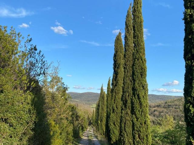 Rustico in vendita a Larderello, Toscana