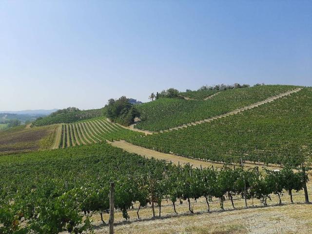 Rustico in vendita a Piemonte, Alessandria