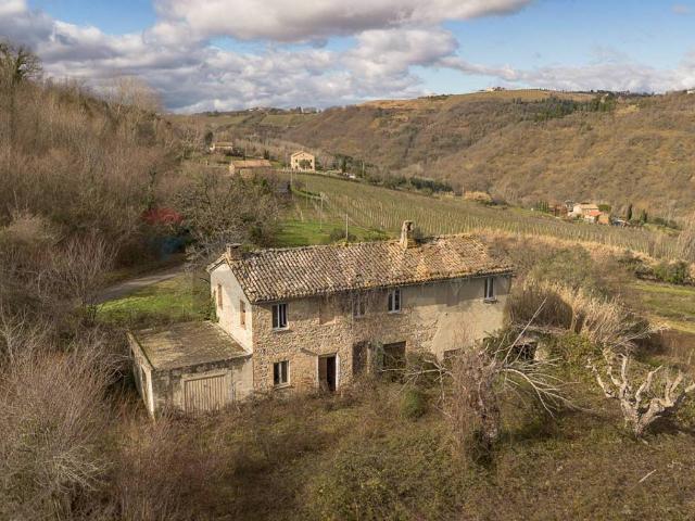 Rustico in vendita a Marche, Ancona