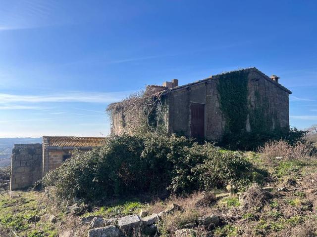 Rustico in vendita a Roma Capitale, Lazio