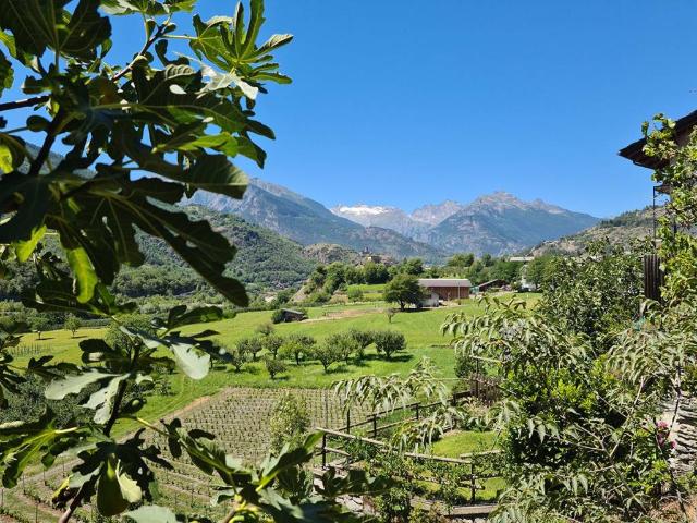 Rustico in vendita a Saint Pierre, Aosta