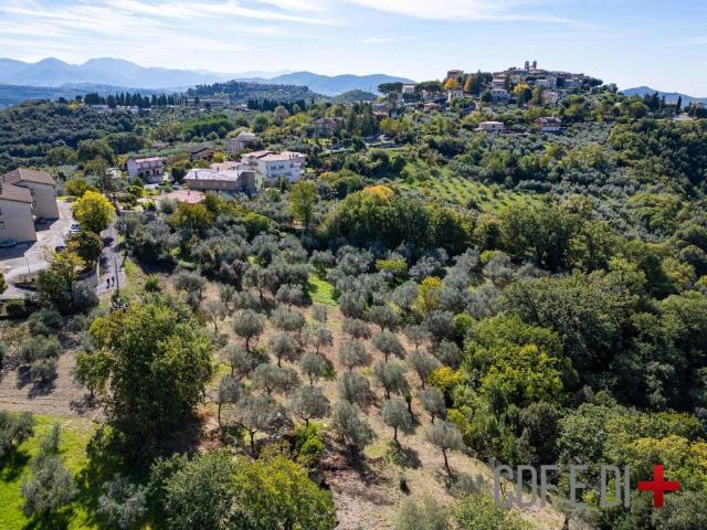 Rustico in vendita a Salisano, Lazio