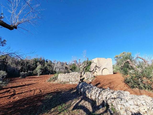 Rustico in vendita a Puglia, Lecce