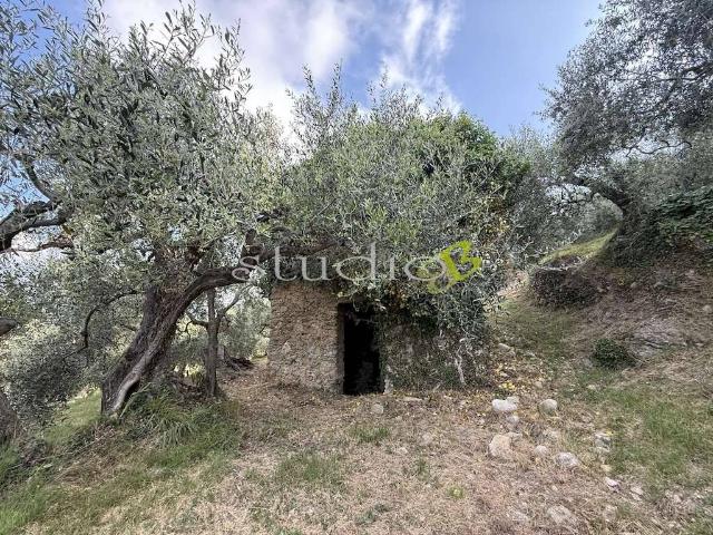 Rustico in vendita a San Biagio Della Cima, Liguria