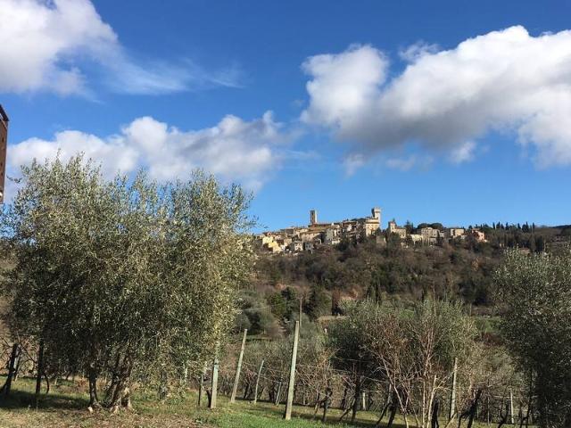 Rustico in vendita a San Casciano, Toscana