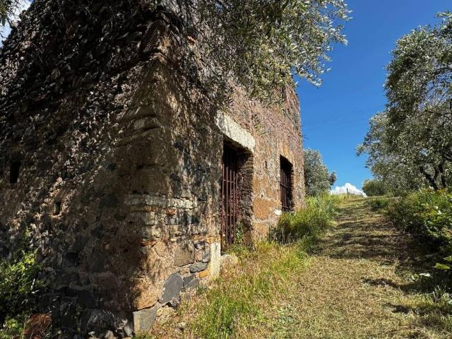 Rustico in vendita a Roma Capitale, Lazio