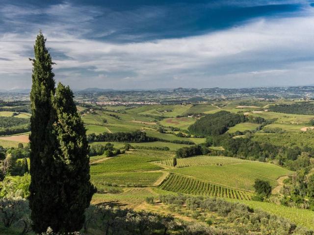 Rustico in vendita a Pancole, San Gimignano