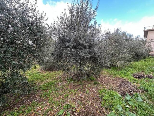 Rustico in vendita a San Rocco, San Giorgio Del Sannio