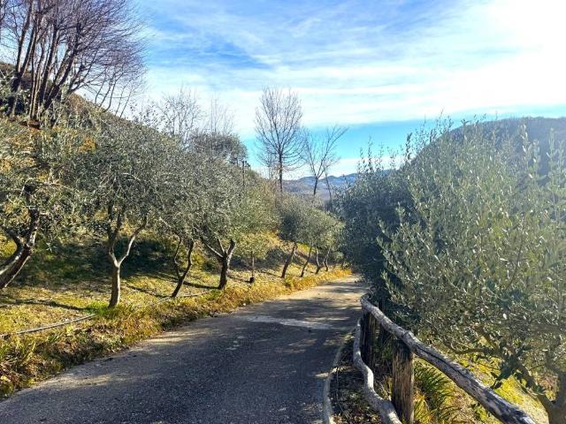 Rustico in vendita a San Giovanni Ilarione, Veneto