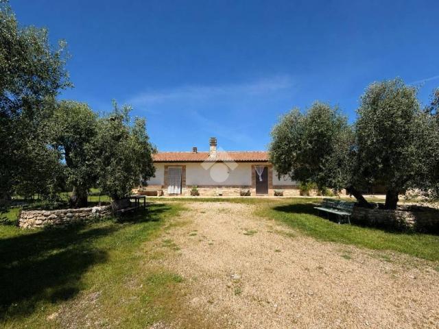 Rustico in vendita a Puglia, Foggia