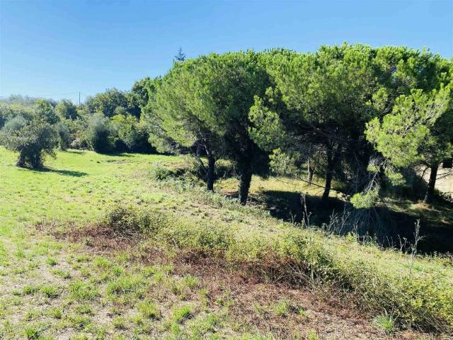 Rustico in vendita a San Giuliano Terme, Toscana