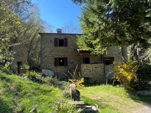 Rustico in vendita a Unione di Comuni Valdarno e Valdisieve, San Godenzo