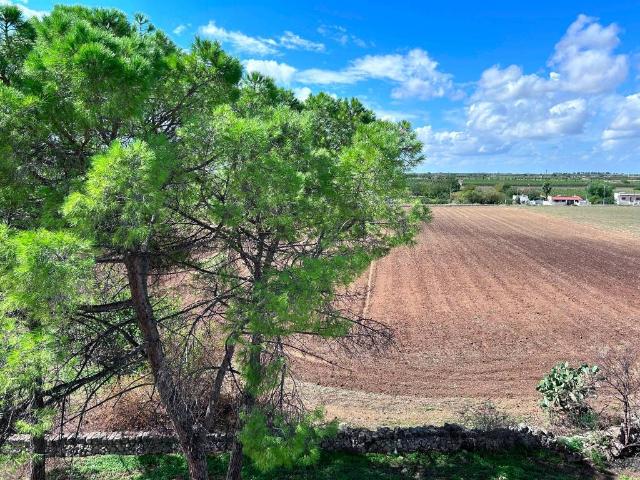 Rustico in vendita a Puglia, Taranto