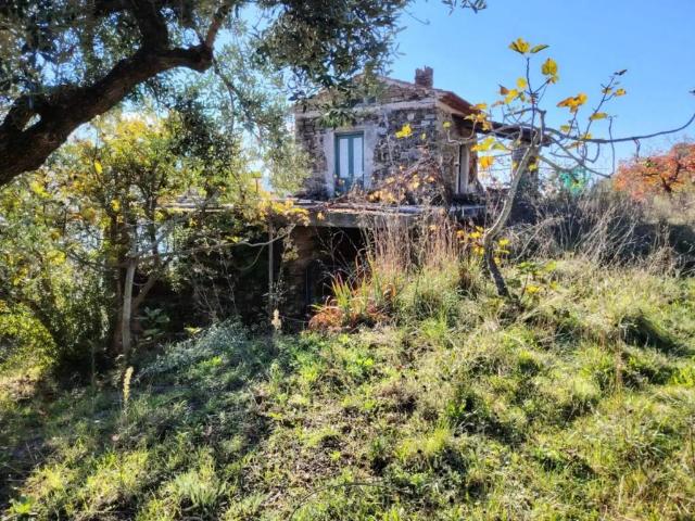 Rustico in vendita a San Mauro Cilento, Campania