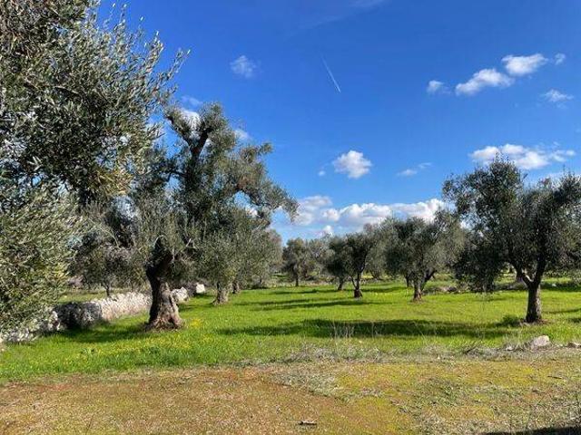 Rustico in vendita a Puglia, Brindisi