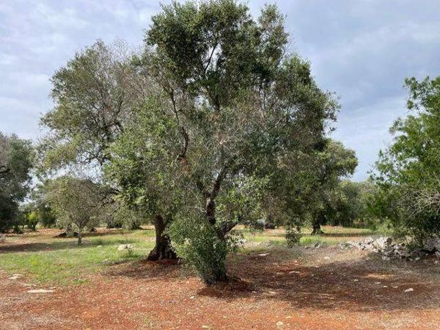 Rustico in vendita a Puglia, Brindisi