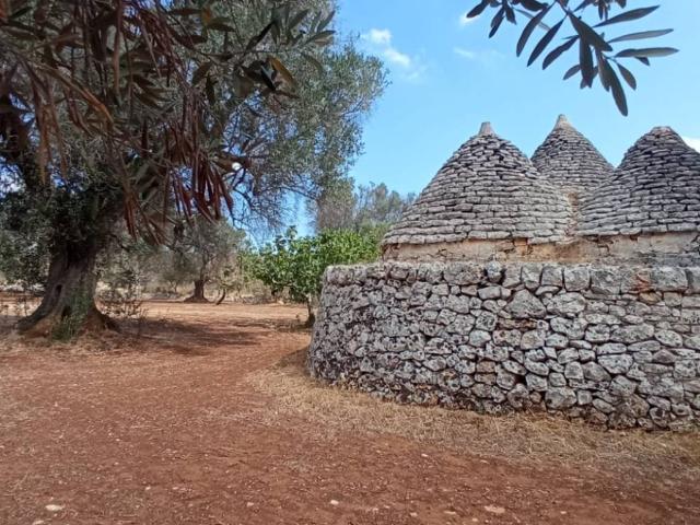 Rustico in vendita a Puglia, Brindisi