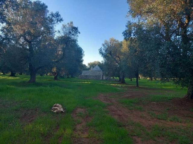 Rustico in vendita a Puglia, Brindisi