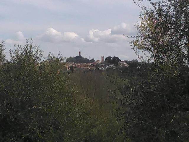 Rustico in vendita a La Scala, San Miniato