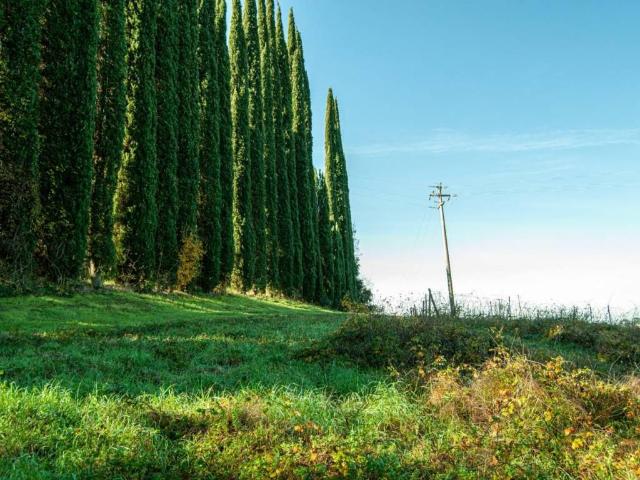 Rustico in vendita a La Scala, San Miniato