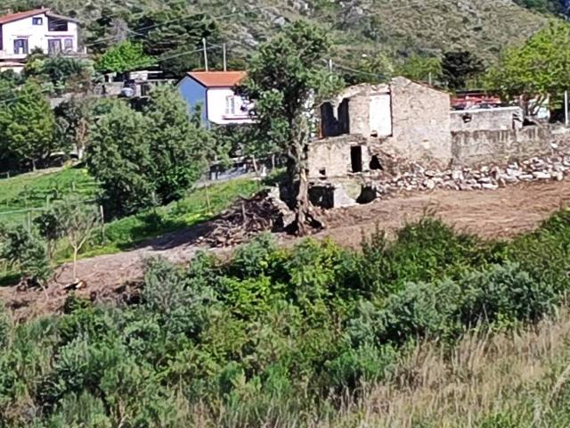 Rustico in vendita a Vannefora, Calabria