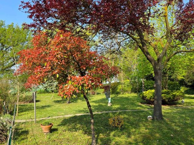 Rustico in vendita a Piemonte, Alessandria