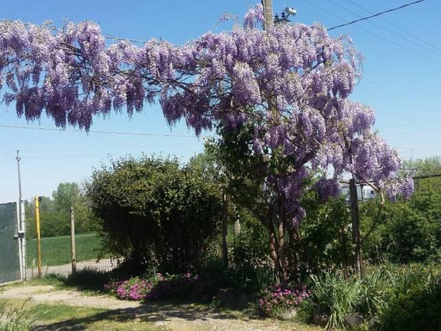 Rustico in vendita a Piemonte, Alessandria