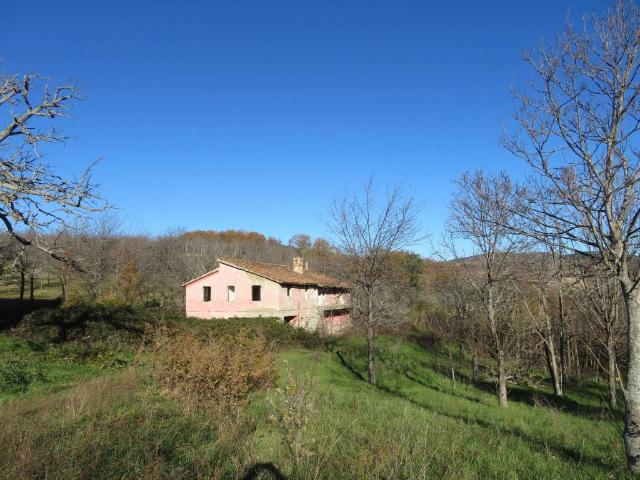 Rustico in vendita a Scaloni, Marche