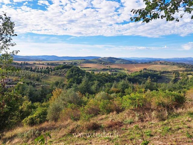 Rustico in vendita a Rotecastello, San Venanzo