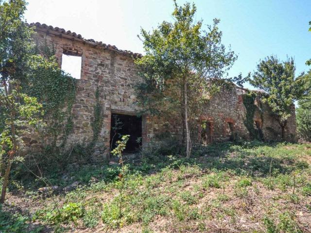Rustico in vendita a San Venanzo, Umbria