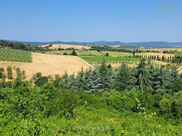 Rustico in vendita a San Venanzo, Umbria