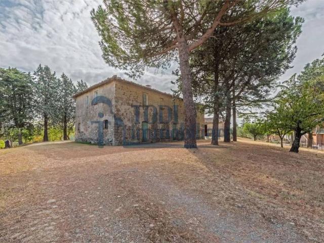 Rustico in vendita a San Venanzo, Umbria