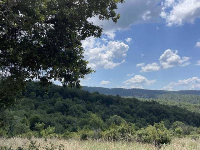 Rustico in vendita a San Venanzo, Umbria