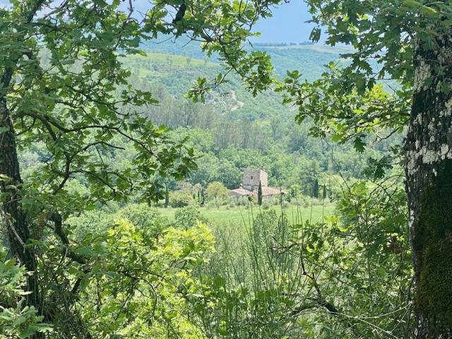 Rustico in vendita a San Venanzo, Umbria