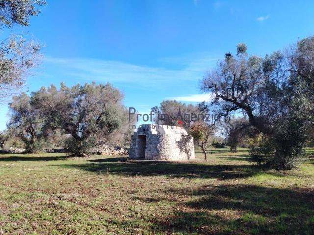 Rustico in vendita a Puglia, Brindisi