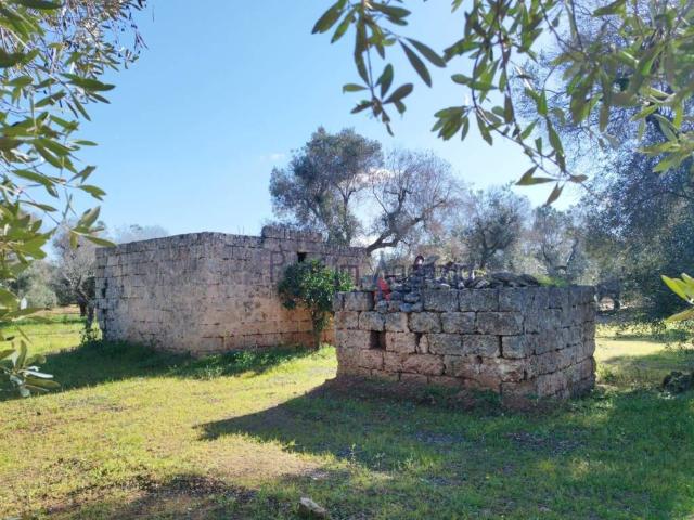 Rustico in vendita a Puglia, Brindisi