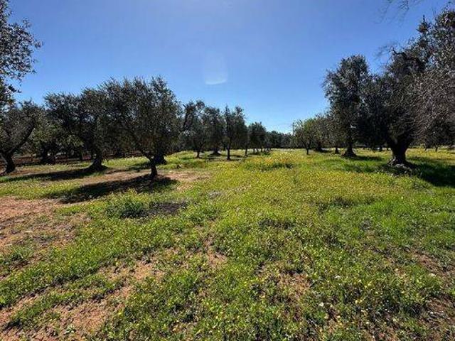 Rustico in vendita a Puglia, Brindisi