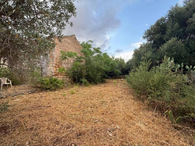 Rustico in vendita a San Vito Lo Capo, Sicilia