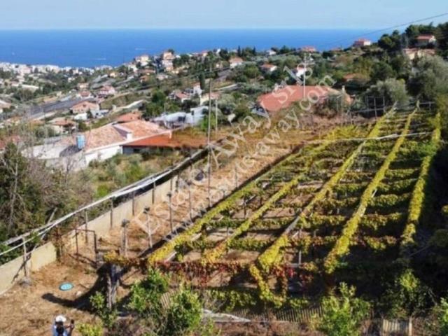 Rustico in vendita a Coldirodi, Sanremo