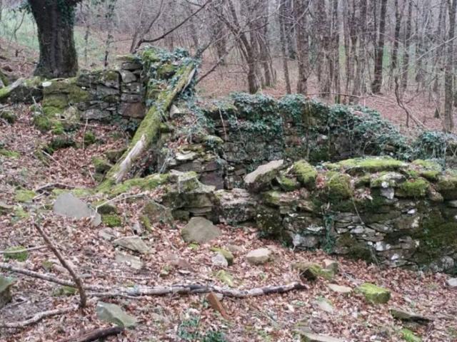 Rustico in vendita a Selva, Santa Fiora