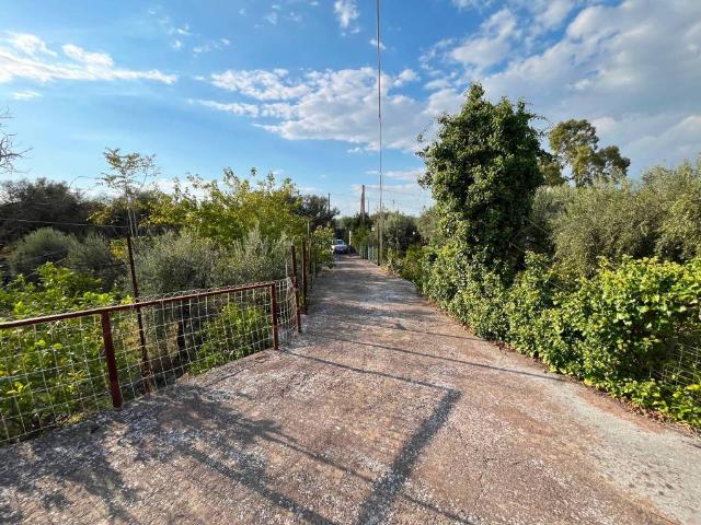 Rustico in vendita a Santa Maria Di Licodia, Sicilia