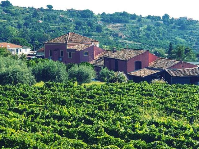 Rustico in vendita a Monacella, Santa Venerina