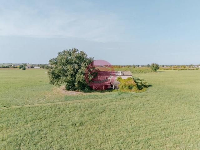 Rustico in vendita a Santarcangelo di Romagna, Rimini
