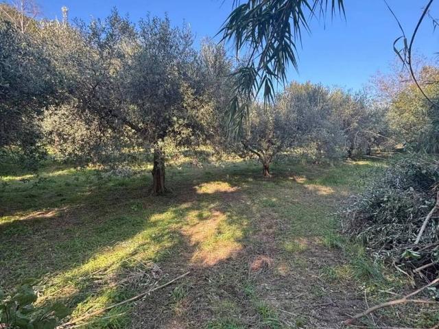 Rustico in vendita a Marche, Fermo
