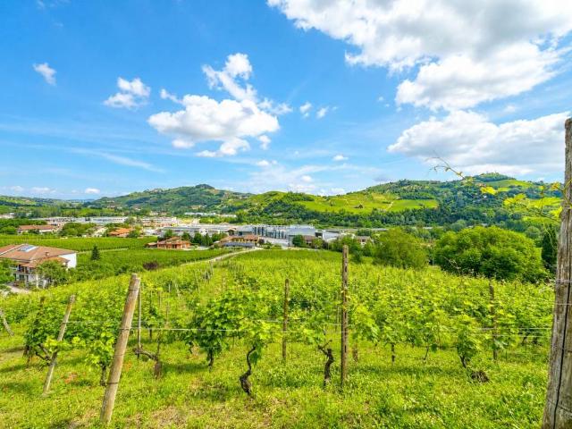 Rustico in vendita a Piemonte, Cuneo