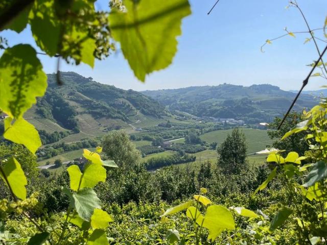 Rustico in vendita a Piemonte, Cuneo