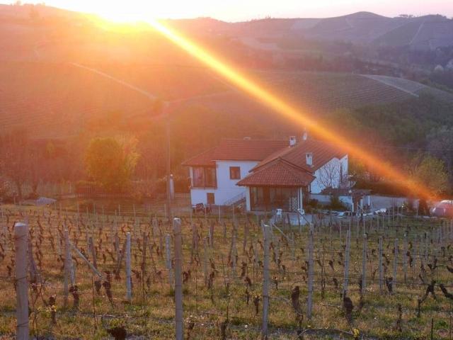 Rustico in vendita a Piemonte, Cuneo