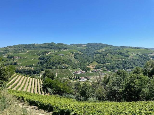 Rustico in vendita a Piemonte, Cuneo
